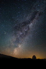 Milkyway in vineyard