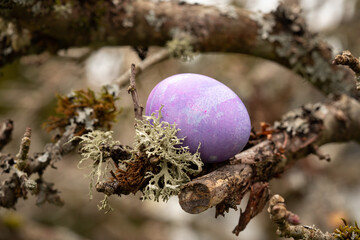 Easter egg in a tree 