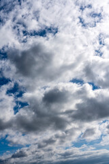 Obraz premium Cloudscape background texture of white fluffy cumulus clouds with a blue sky
