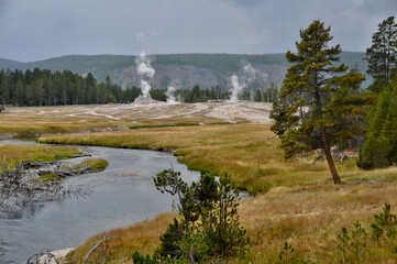 Yellowstone NP