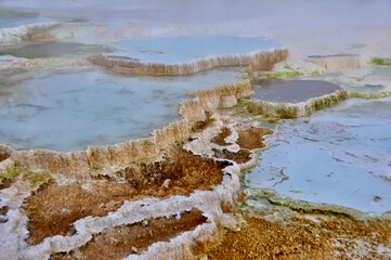 Yellowstone NP Mammoth Springs