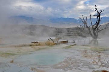 Yellowstone NP Mammoth Springs