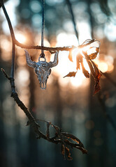 bull skull metal amulet, Wizards Pendant on natural sunny autumn forest landscape. Paganism Occult...