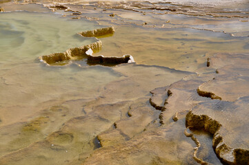 Yellowstone NP Mammoth Springs