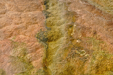 Yellowstone NP Mammoth springs