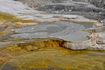 Fototapeta na wymiar Yellowstone NP Mammoth springs