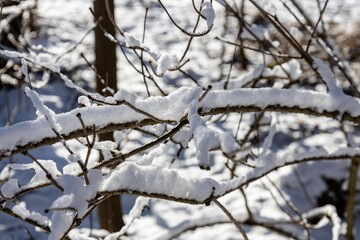 Winterlandschaft, Winter Wonderland, Winter, Schnee 
