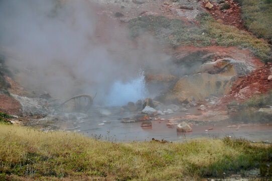 Yellowstone NP