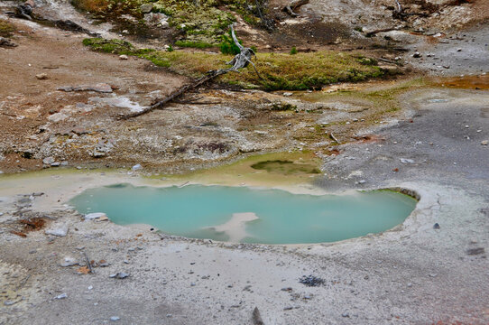 Yellowstone NP