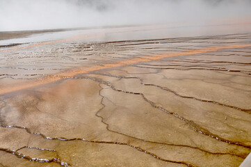 Yellowstone NP Grand Prismatic