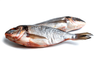 Fresh dorado isolated on white background