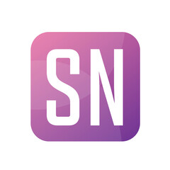 SN Letter Logo Design With Simple style