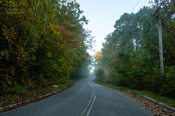 Roads of the Beaucatcher Mountain.  Asheville, North Carolina