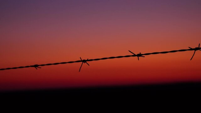 Smooth Pan Over Barbed Wire with Pink Sky Background