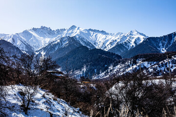 landscape in the winter