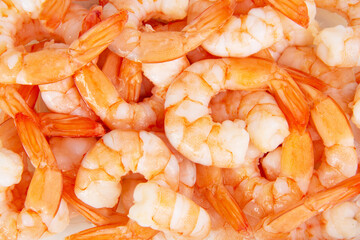 Many red shrimps appetizer background