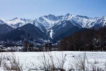 snow covered mountains