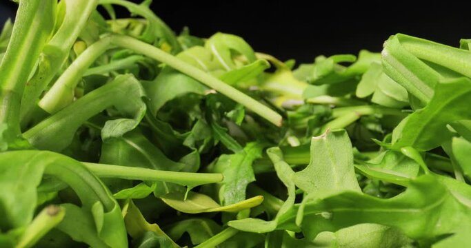 Fresh green salad macro with probe lens