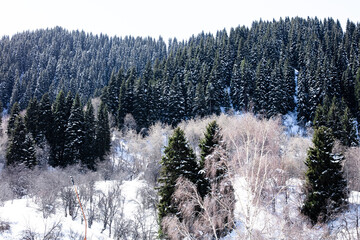 winter in the mountains