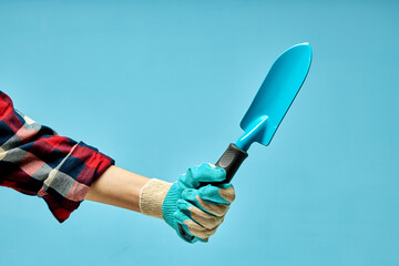 female hand holding little garden tool on blue background