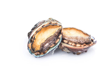 Raw abalones on the white background