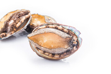 Raw abalones on the white background