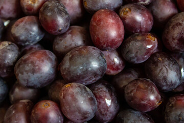 Dark blue wine grapes background close up macro