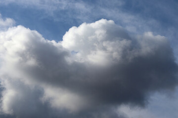 Fluffy grey and white cumulus clouds with some cumulus and nimbus formations contrast with the sky on a summer afternoon, creating a mesmerizing cloudscape.