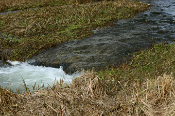 Small river cascade, Frozen motion, natural abstract texture background.