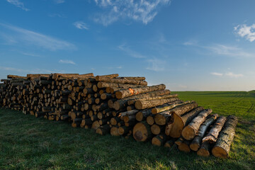 A pile of chopped wood, prepared for firewood 