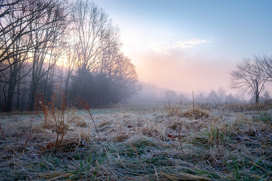 a peaceful, winter sunrise over a medow