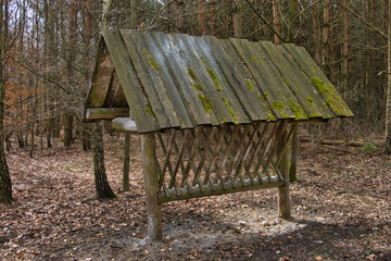 DREWNIANY PAŚNIK DLA ZWIERZĄT W LESIE © michalsen