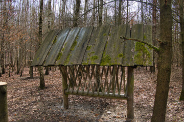 DREWNIANY PAŚNIK DLA ZWIERZĄT W LESIE © michalsen