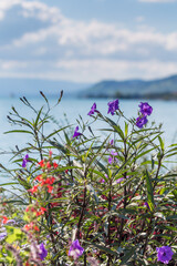 montreux et lac léman en été - suisse