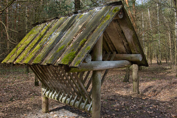 DREWNIANY PAŚNIK DLA ZWIERZĄT W LESIE © michalsen