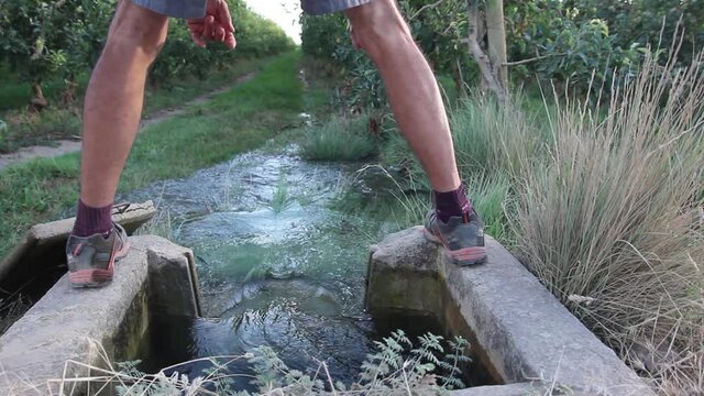 Man who opens the canal gate so that the water can irrigate the fruit trees. Agriculture concept
