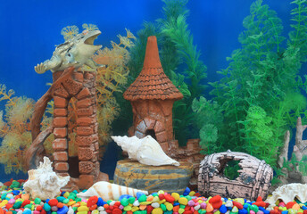 freshwater aquarium with decorations, no fish