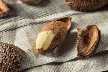 Raw Brown Organic Brazil Nuts