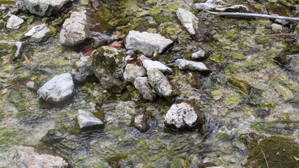 Cristal sweet transparent water and white stones