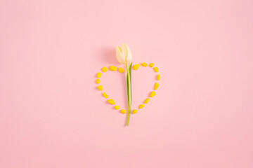 Single yellow tulip around hart shape made with yellow stones on pastel pink background. Minimal spring idea. Flat lay view.