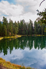 Portrait view of reflections on Trout Lake at Yellowstone National Park
