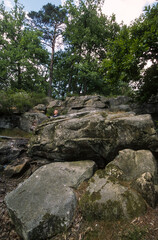 Fototapeta na wymiar Rochers, Massif des 3 Pignons, Forêt de Fontainebleu, 77, Seine et Marne