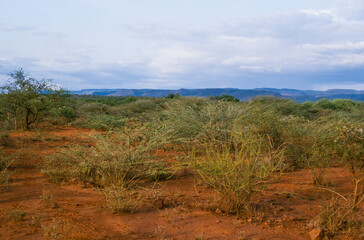 Parc national de Samburu, Kenya
