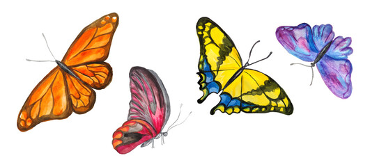 Set of beautiful exotic watercolor butterflies with colorful wings
Tropical flying insect