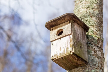 The birdhouse hangs on a tree trunk. House for birds. Protection of Nature. Protect birds. Close-up. High quality photo