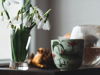 Beautiful white Snowdrops Galanthus flowers bouquet in glass vase close-up light background. Cozy home morning tea ceremony. Floral wallpaper Blooming plants with shadow on window.Spring greeting card
