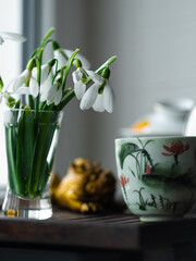 Beautiful white Snowdrops Galanthus flowers bouquet in glass vase close-up light background. Cozy home morning tea ceremony. Floral wallpaper Blooming plants with shadow on window.Spring greeting card
