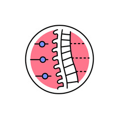 Orthopedics color line icon. Pictogram for web page, mobile app