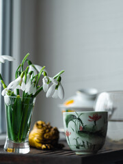 Beautiful white Snowdrops Galanthus flowers bouquet in glass vase close-up light background. Cozy home morning tea ceremony. Floral wallpaper Blooming plants with shadow on window.Spring greeting card