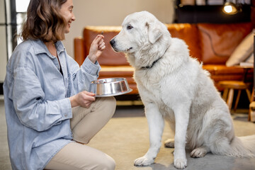 Woman feeding a dog with dry food